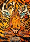 by M Jane Letty