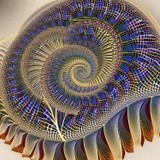 by John H. R. Pieper