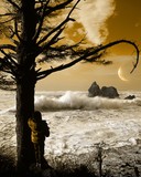 by Alex Colson