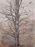 by Kathleen Brake