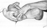 by Shannon O'Hara