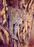 by Angela Drysdale