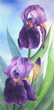 by Tanya Antimirova
