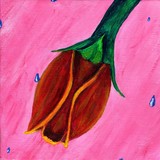 by Jeanette  Esquivel 