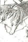 by Ginger Olansen