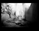 by DEE JOBES PHOTOGRAPHY