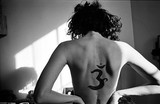 by Robert Varisco
