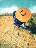 by José Ramalhão Fortunato
