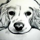 by Nelly van Nieuwenhuijzen