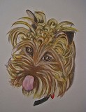 by Cathie Brock
