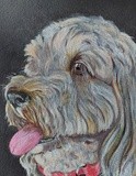 by Cathie Brock
