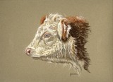 by Jennifer Redstreake