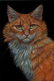 by Svetlana Ledneva-Schukina