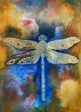 by Shelley Darby-O'Bar