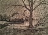 by Regina Calton Burchett
