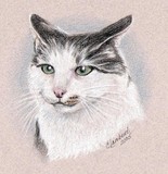 by Cindy Lambert