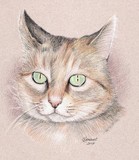 by Cindy Lambert