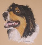 by Joanne Simpson-Connor