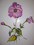 by John Chasteen