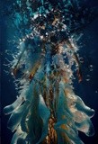 by VELYKIO - gintautas velykis -