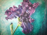 by Kathryn Lewis