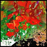 by Barry Huyett