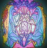 by Barry Huyett