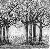 by Cathy Howell