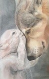 by jay dawn