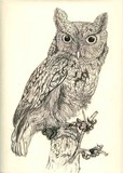 by debra abell