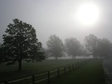 by Old Barn 