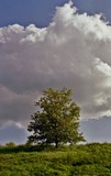 by Adam Defrang