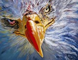 by Donna Proctor