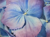 by Malissa Myers