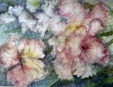by Carol Lincker