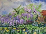 by oxana zaika