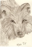 by Maureen Blakeley