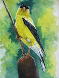 by Barbara Keith