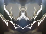 by TOMMY  BEAVER