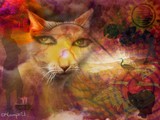 by Melanie Lamprill