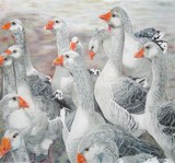by Frances Lowe