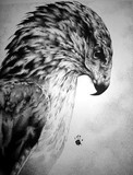 by bobby kro