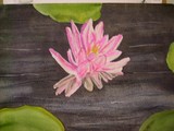 by karen Salley'Rice