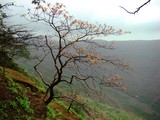 by Adarsh Kumar Pavani