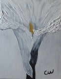 by CYNTHIA WEBER