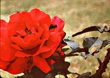 by Dell Belew