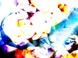 by karie Miller