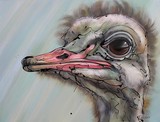 by Erlinde Ufkes Stephanus