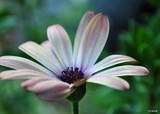 by Bill M