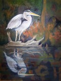 by Mary  Back